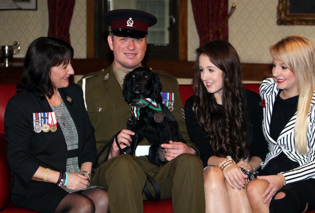 search Dog Grace accepting the PDSA Dickin medal at Wellington Barracks
