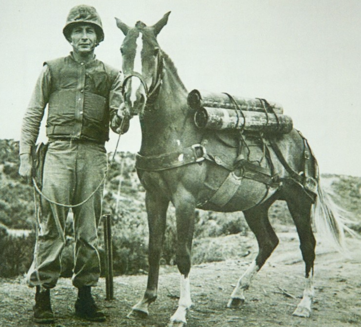 Reckless with Sgt. Latham