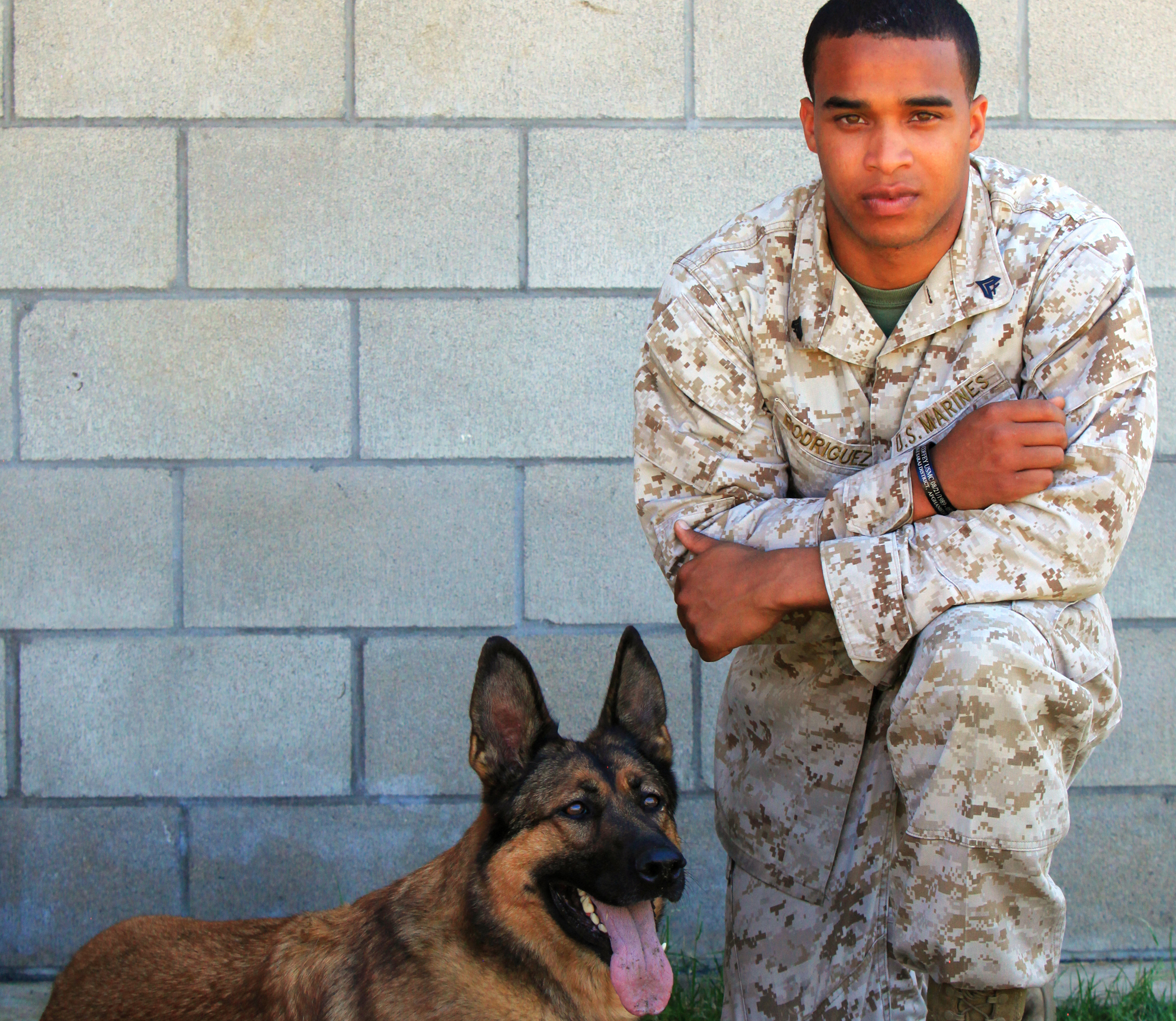 Homeward Bound Lucca Retires