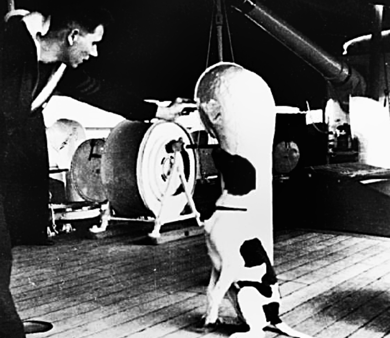 Judy sits up and listens to a sailor's commands on the deck of HMS GRASSHOPPER