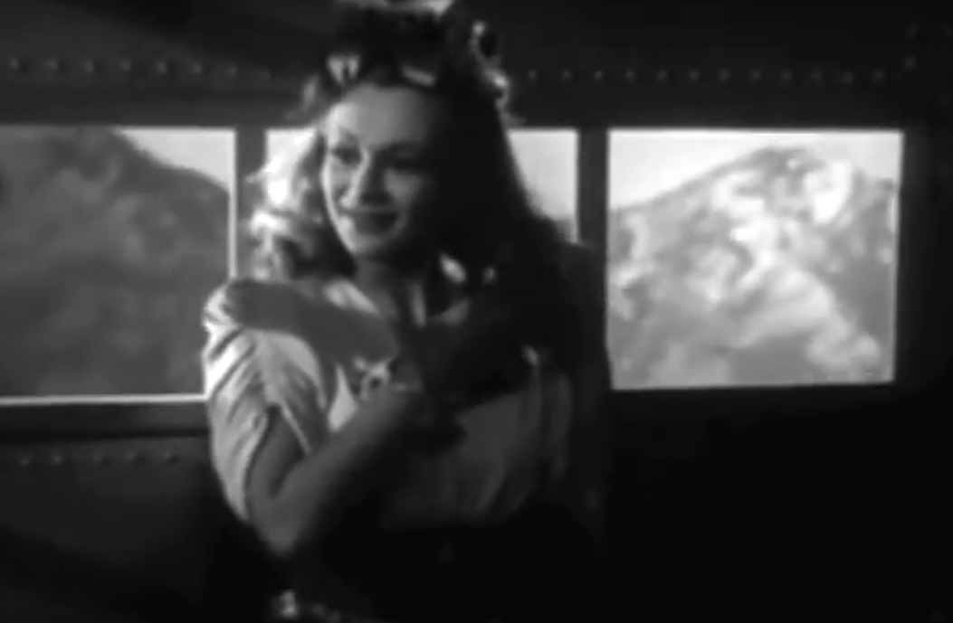 A screenshot of the movie Forced Landing