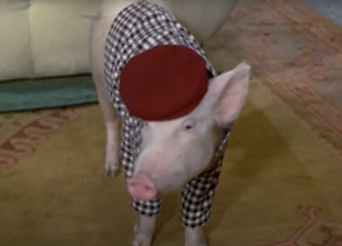 A screenshot of the TV Show Green Acres