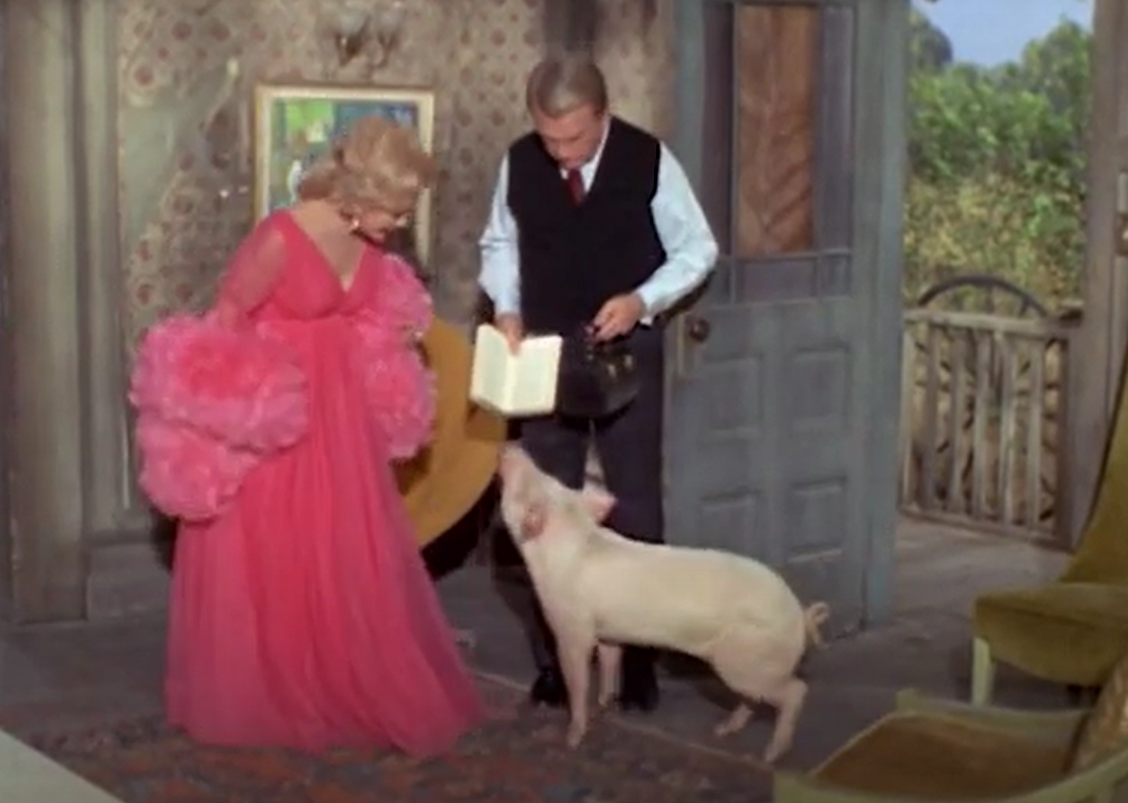 A screenshot of the TV Show Green Acres