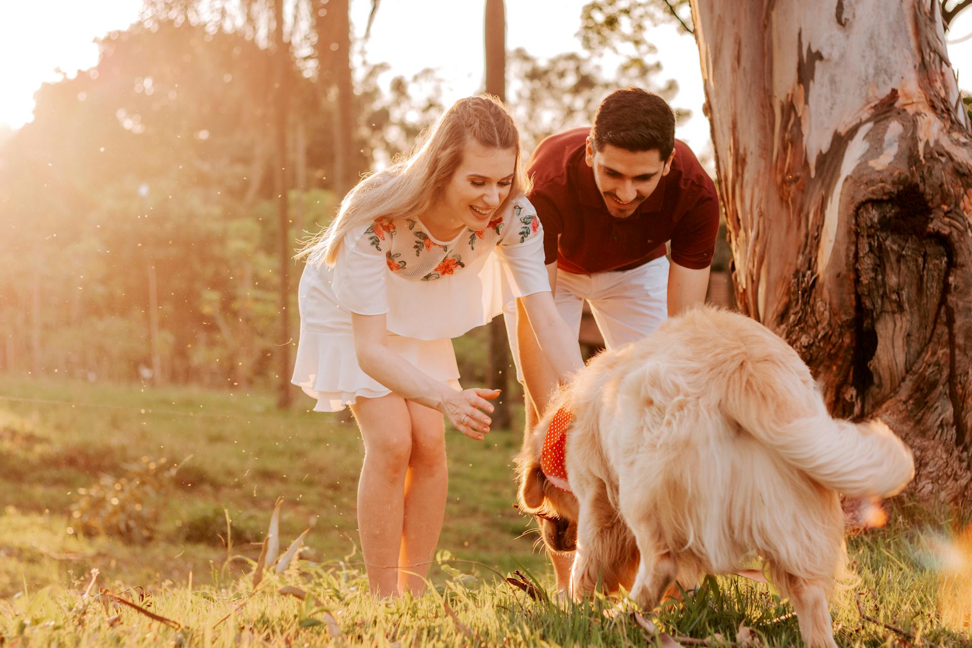 man, woman and dog playing in the park