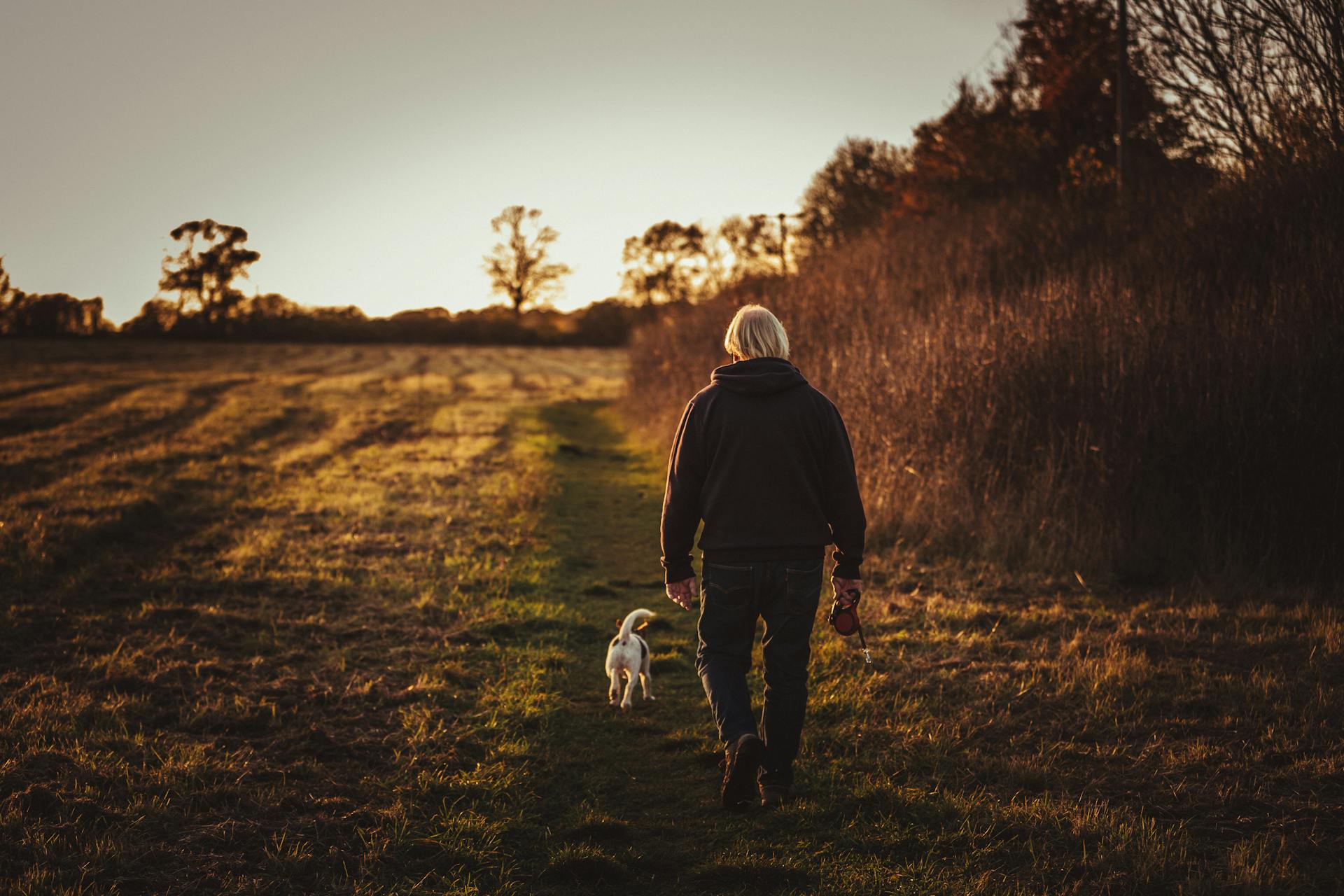 Person and a dog on a walk