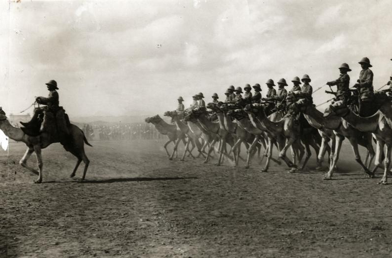 English Camel Troopers in Somaliland