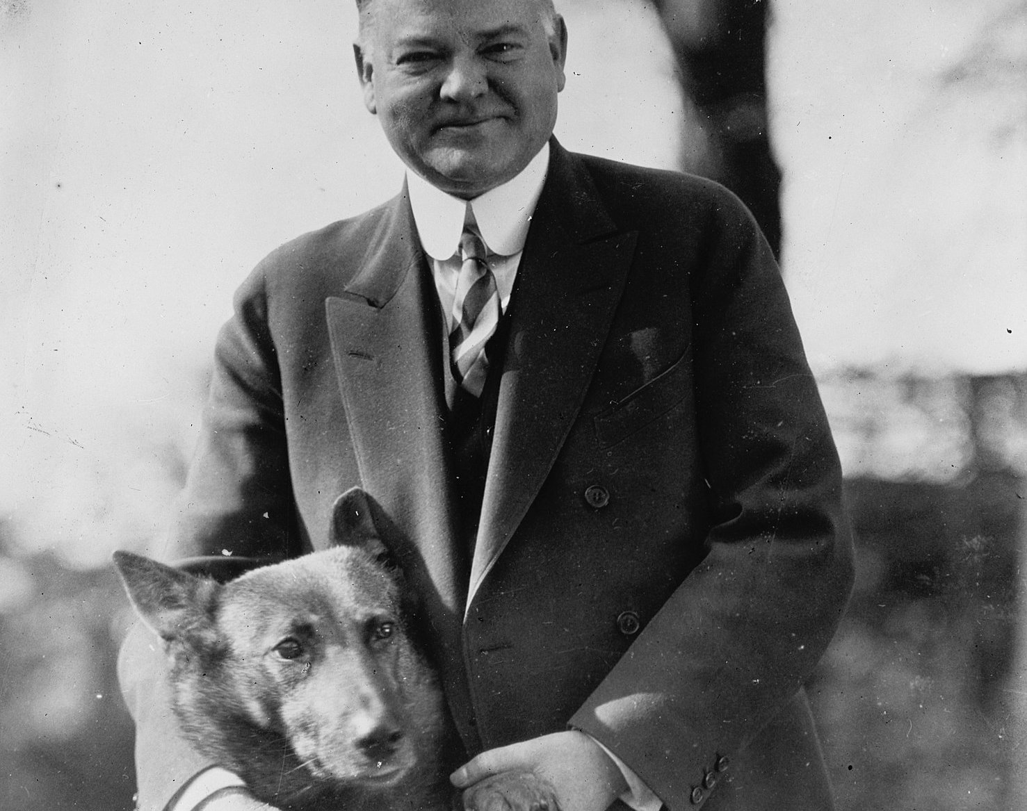 Herbert Hoover with his pet Belgian Shepherd dog 