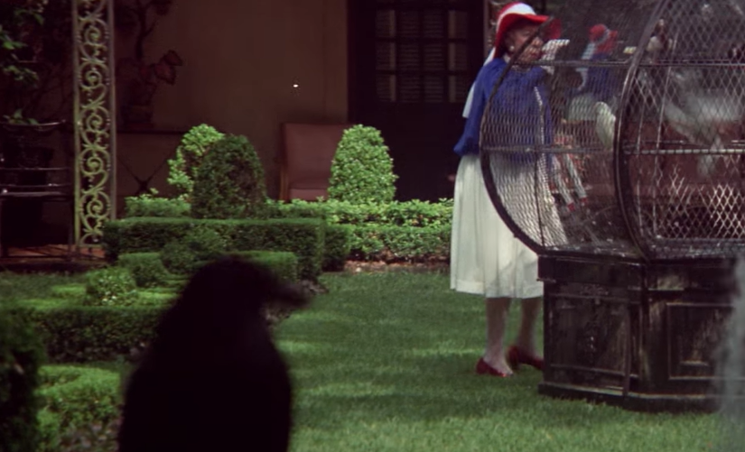 Margaret Hamilton in Brewster McCloud (1970)