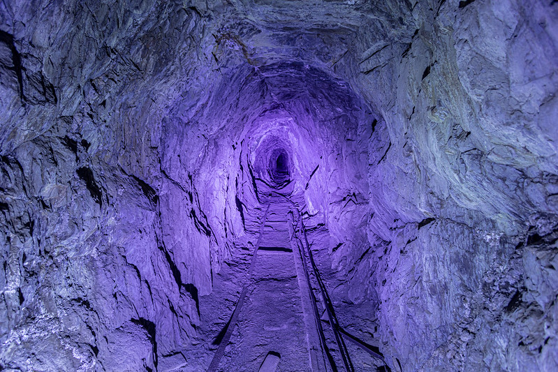 Inside the Gold Mine