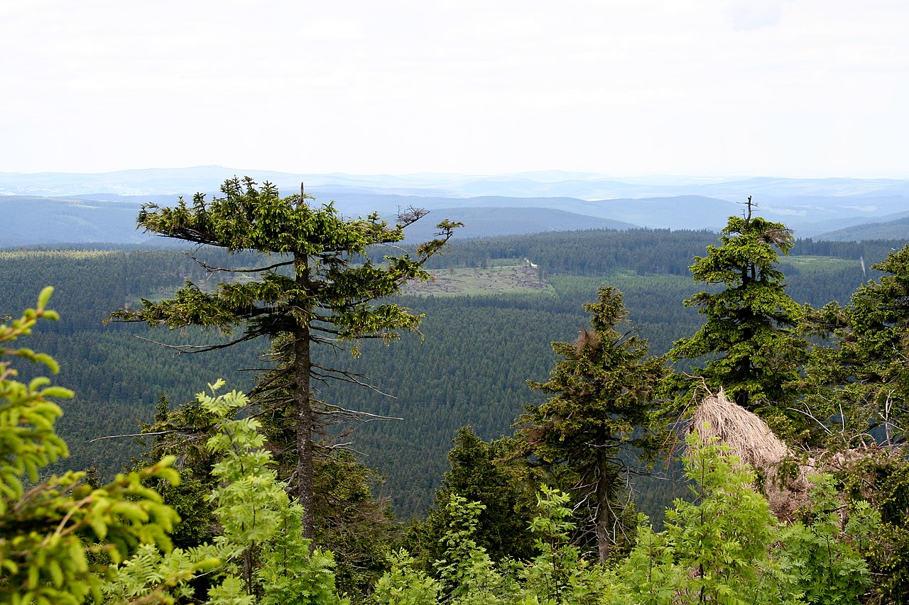 Erzgebirge - panoramio - 2007