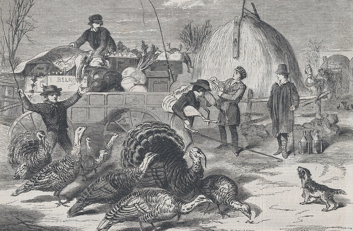 Turkey hunting for Thanksgiving