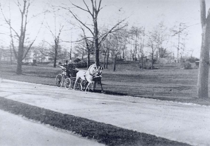 Horse carriage on a road