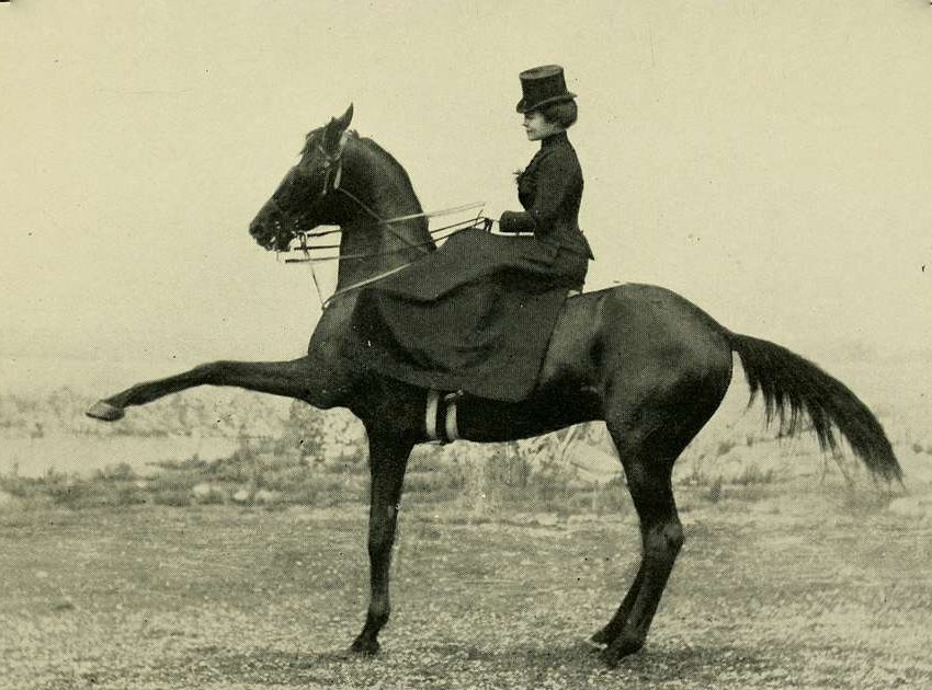 Anglo-French horsemanship