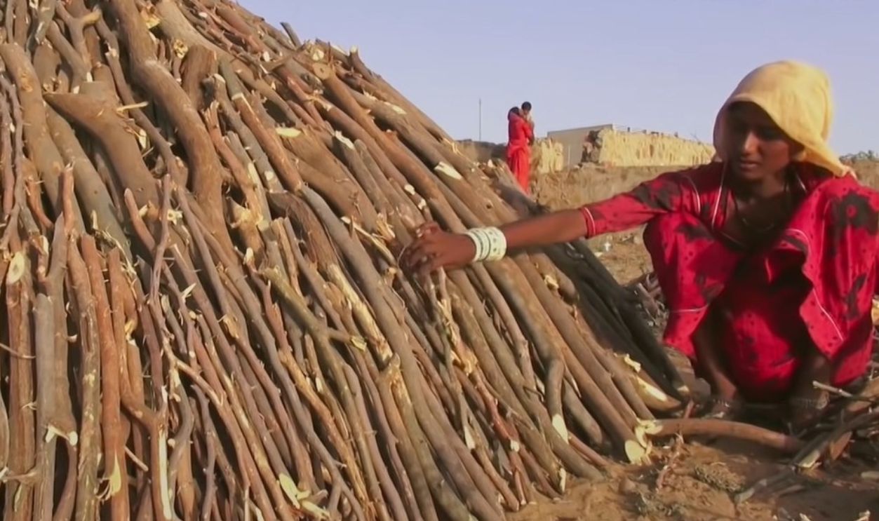 Charcoal Is A Source Of Income