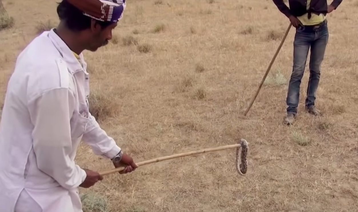 It Stopped Their Major Source Of Income