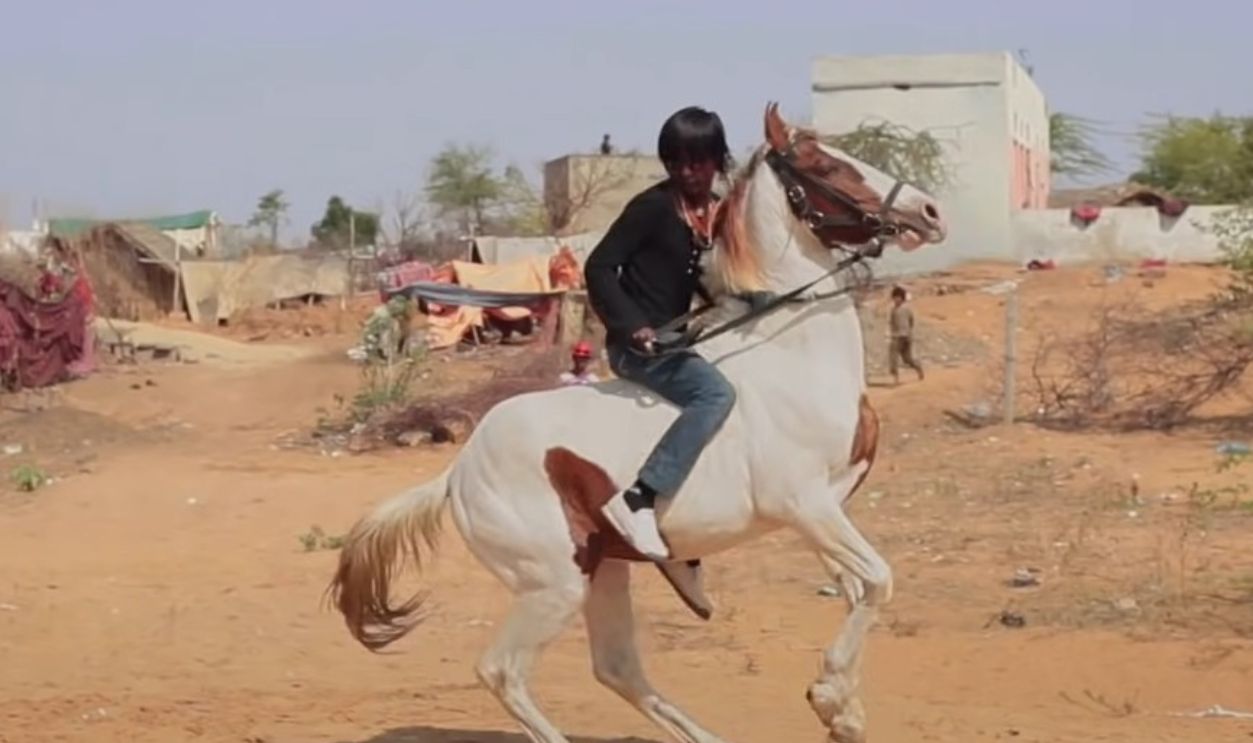 They Have Other Skills