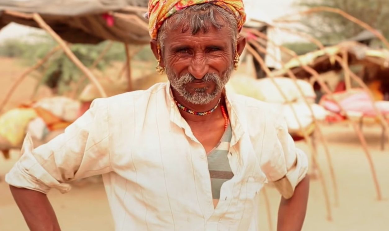 Those Who Love Snakes