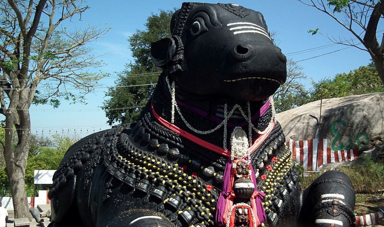 Shiva's Nandi Bull