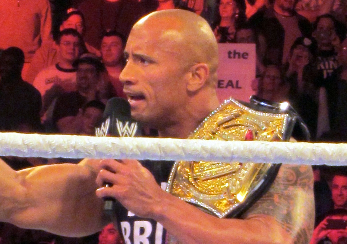 WWE Champion The Rock 2013
