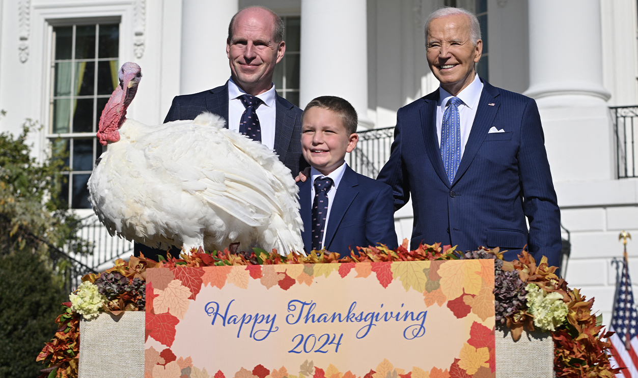 American Thanksgiving Msn Single