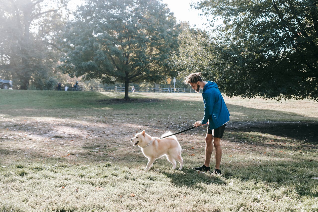 Active young man with Akita dog walking in park