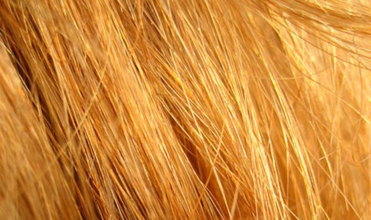 Pain Tolerance Puzzle