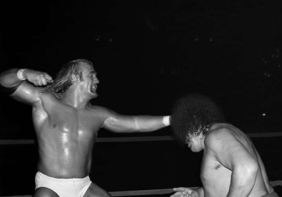Hulk Hogan vs Andre Giant