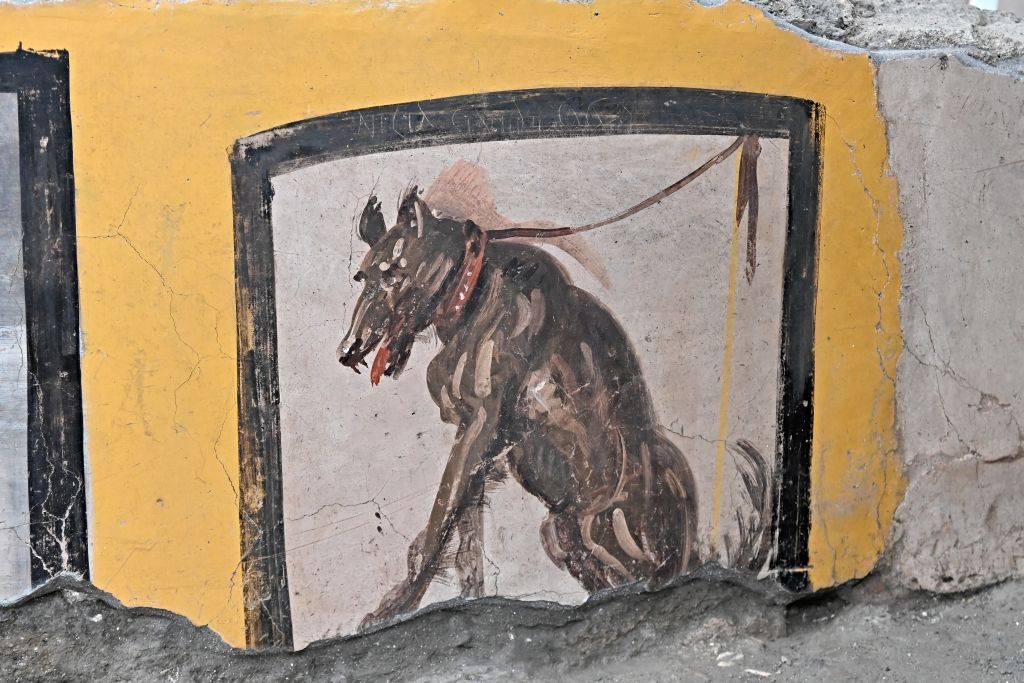 Fresco displayed in the new area of the Thermopolium