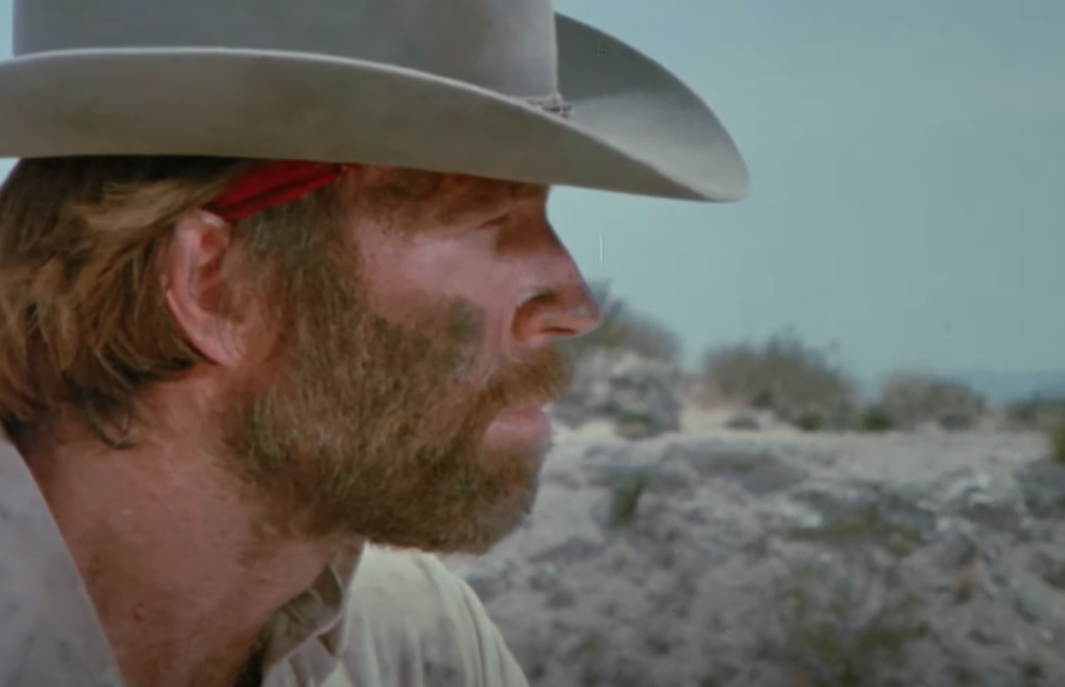 Screenshot of Lone Wolf McQuade Associates