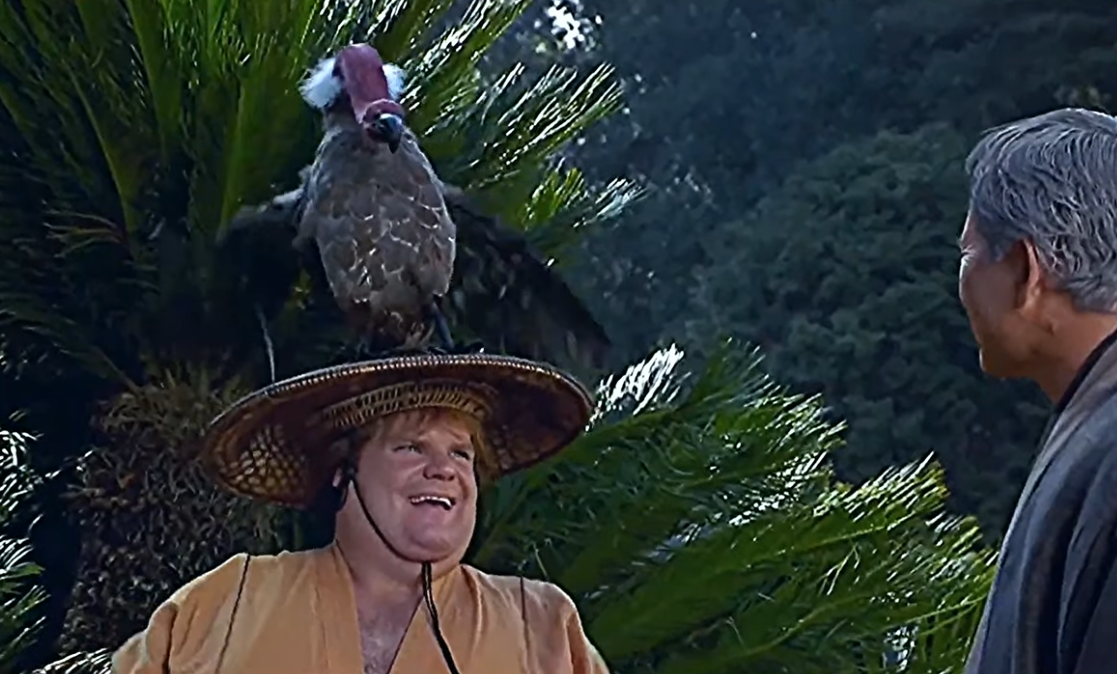 Screenshot from the movie Beverly Hills Ninja (1997)