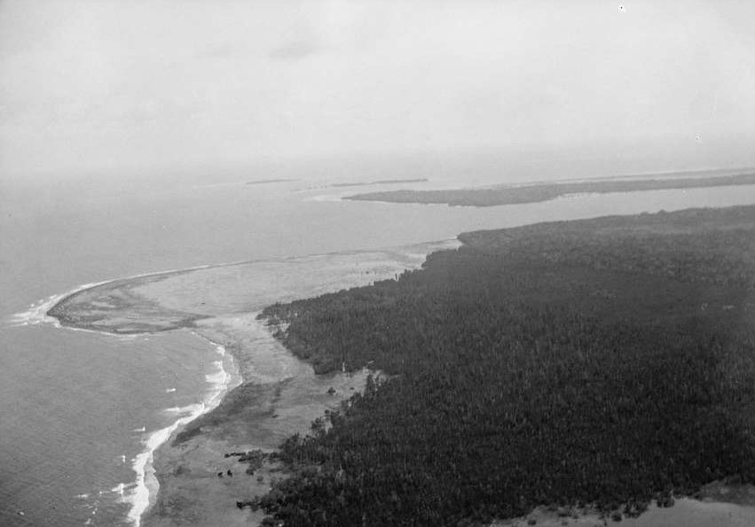 Zanzibar Air View Palm Groves On Western Side