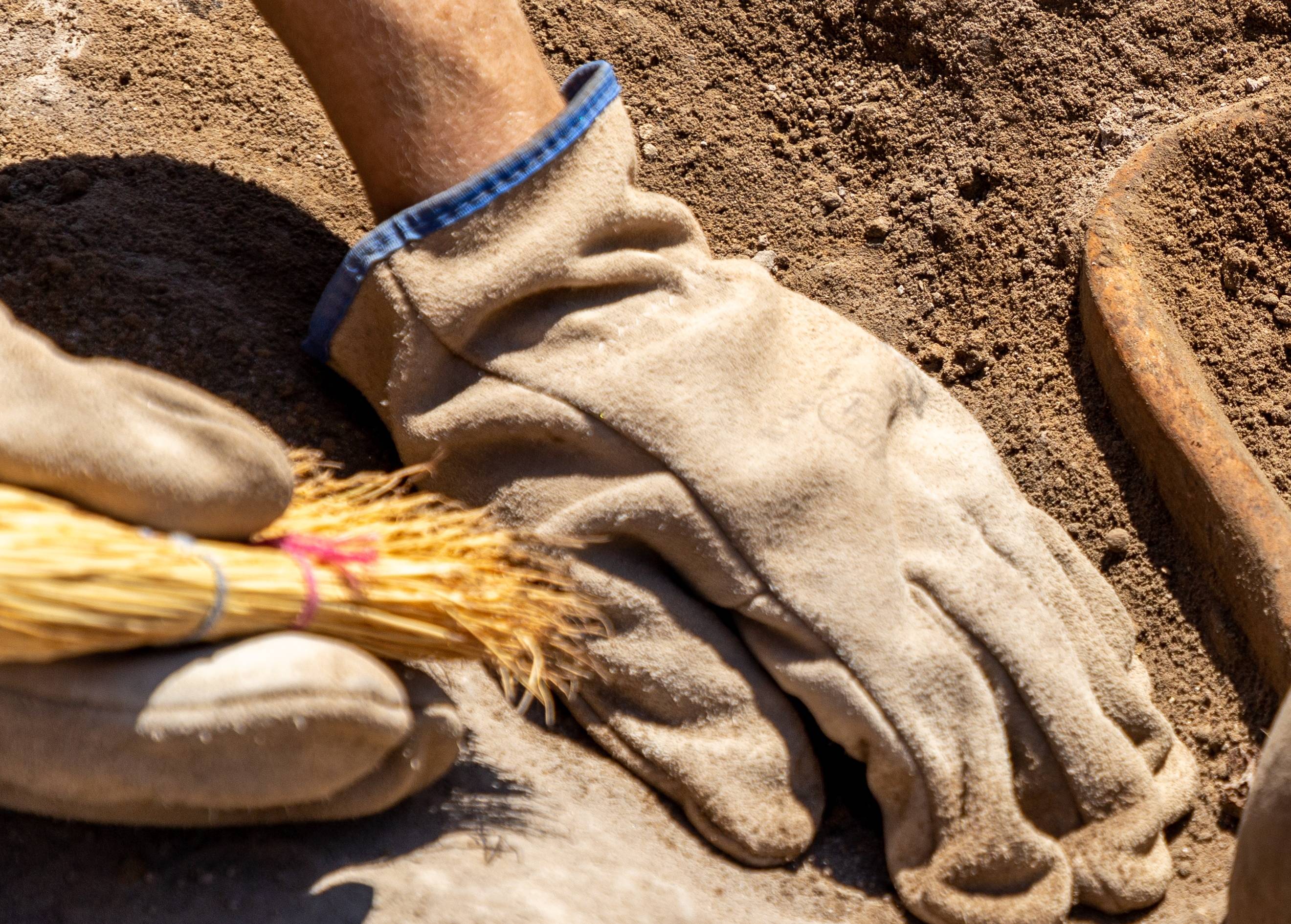 Archaeologists working