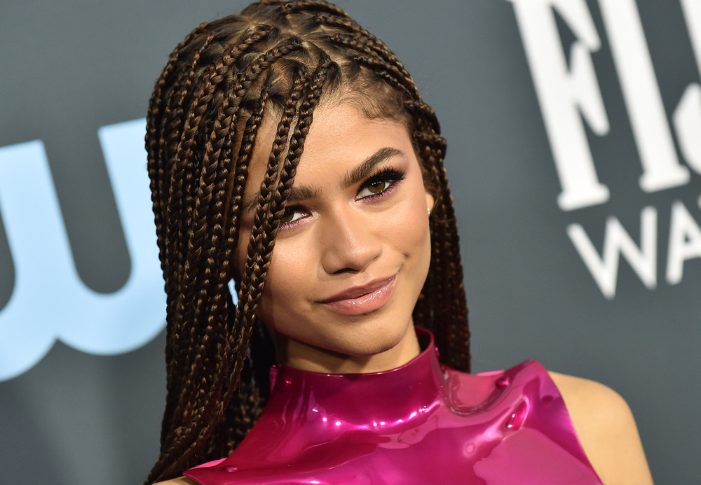 Zendaya Coleman arrives for the 25th Annual Critics' Choice Awards