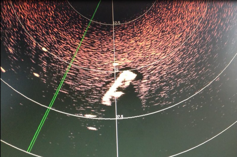 Sonar images taken by the Gruppo Volontari del Garda