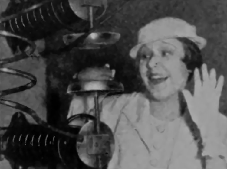 Demonstration of cooking by radio waves