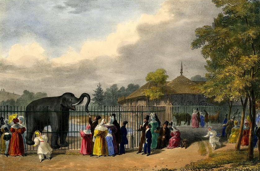 Zoological Gardens. Regent's Park.