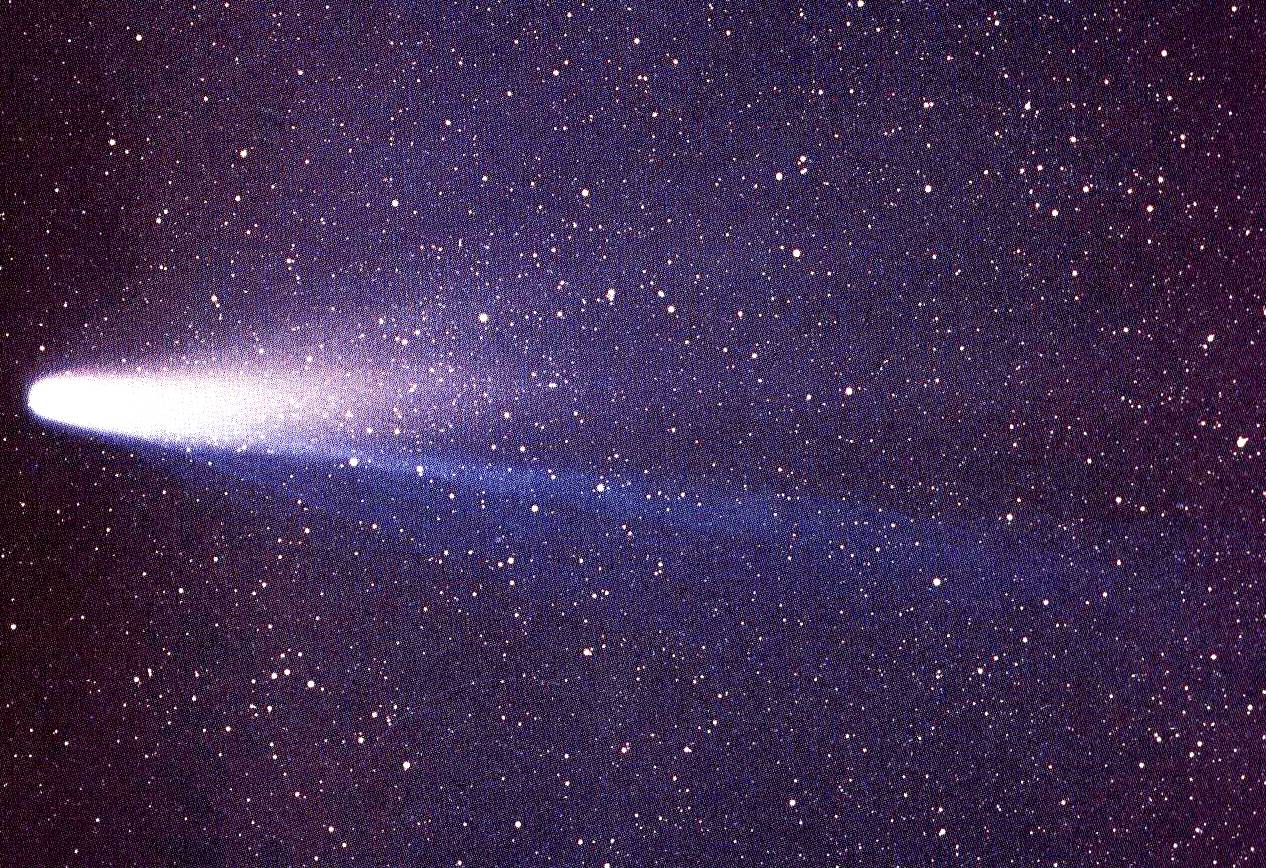 Halley's Comet
