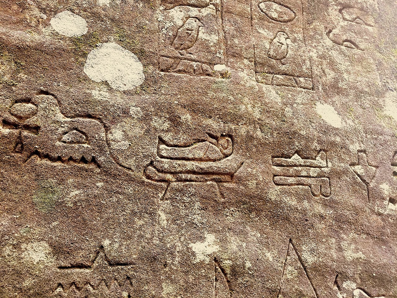 The Gosford petroglyphs