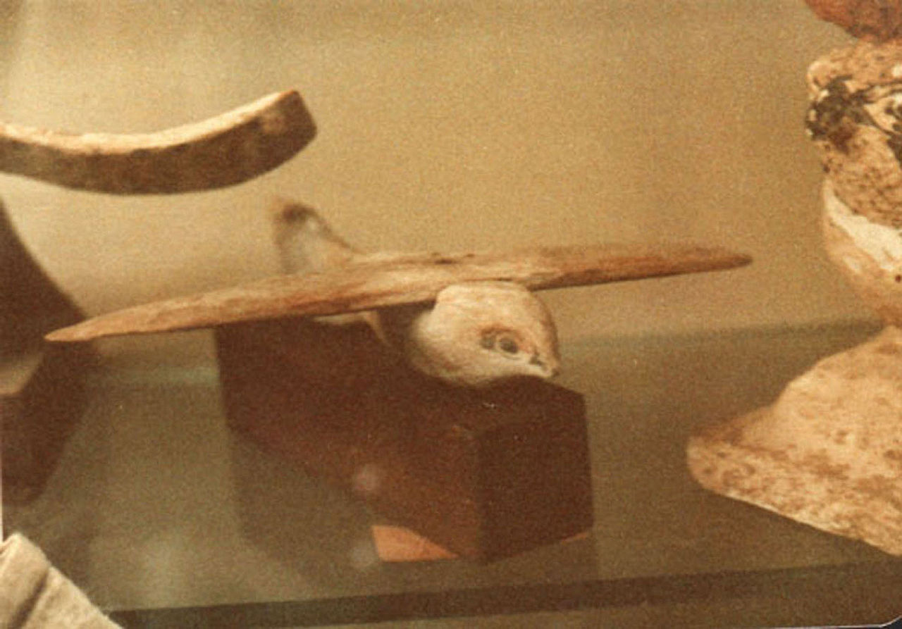 Wooden model of a bird