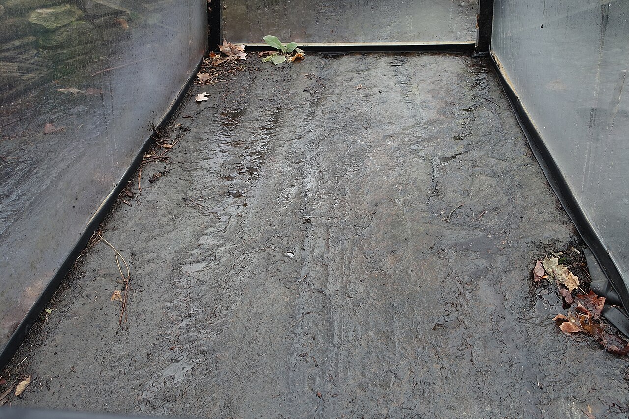 Westford Knight Stone - Westford, Massachusetts