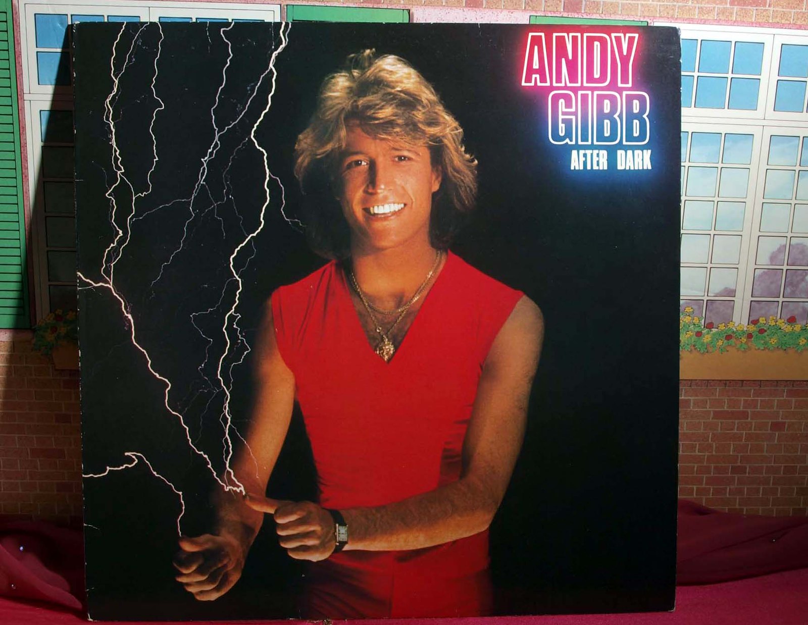 andy gibb