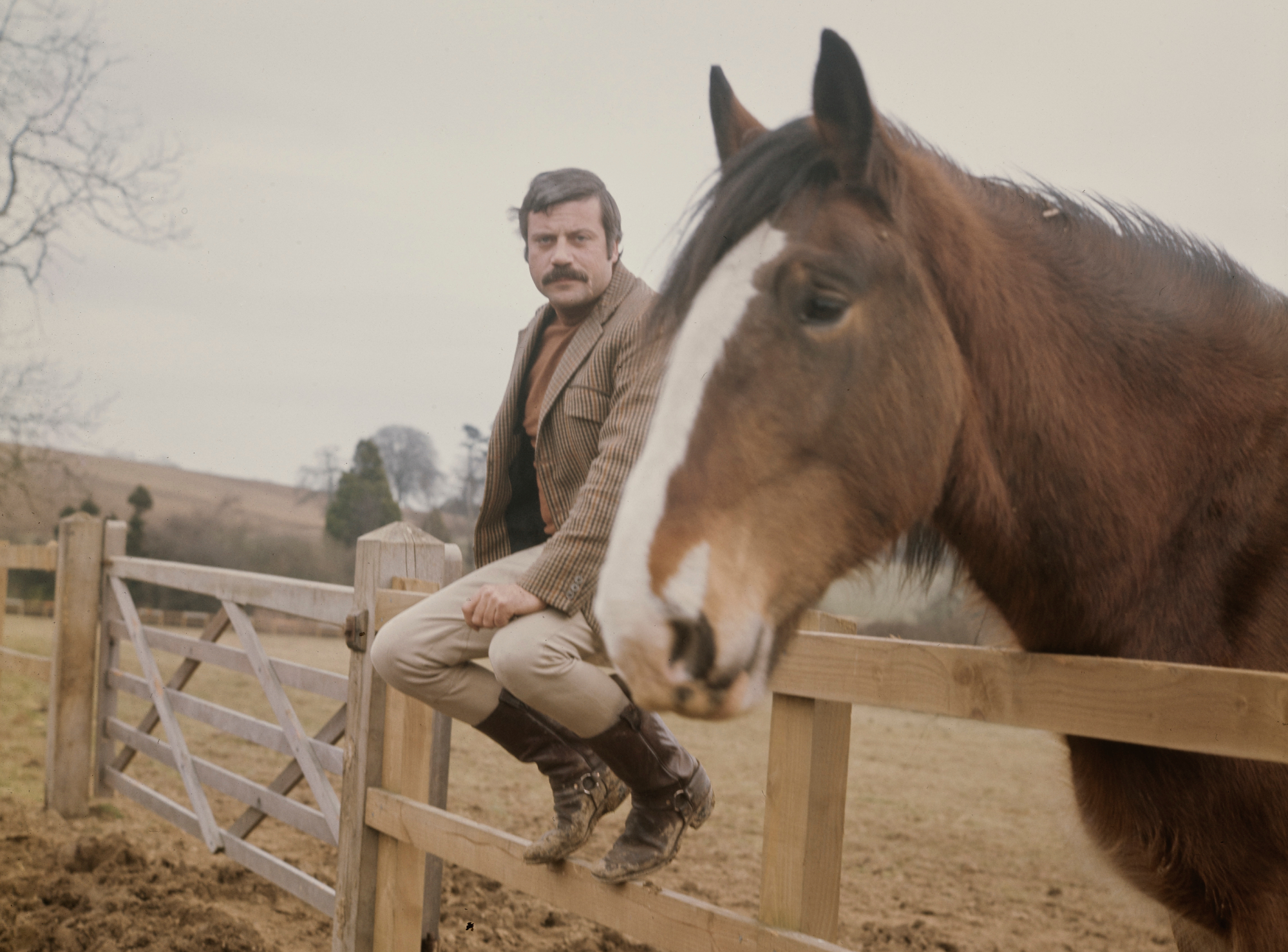 English actor Oliver Reed (1938 - 1999) in the countryside