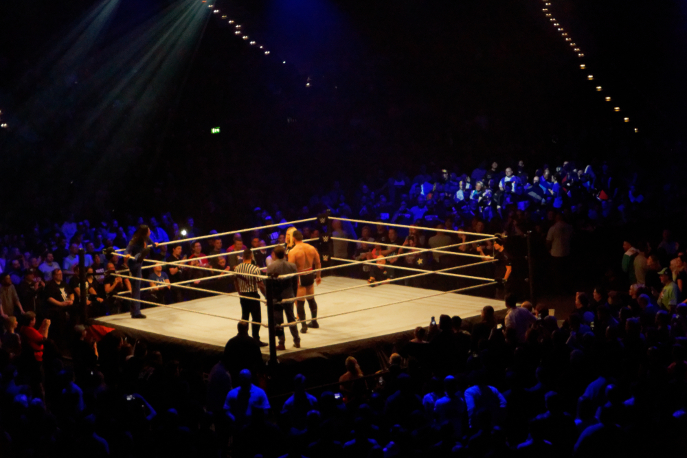 Wrestlers in ring