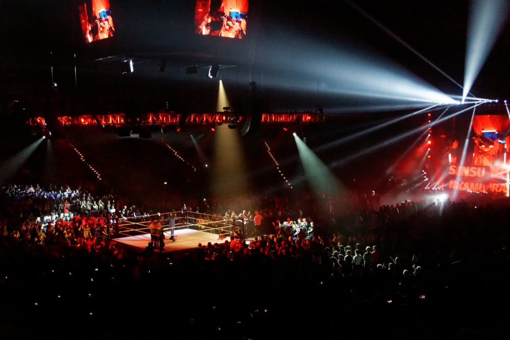 wrestler in ring