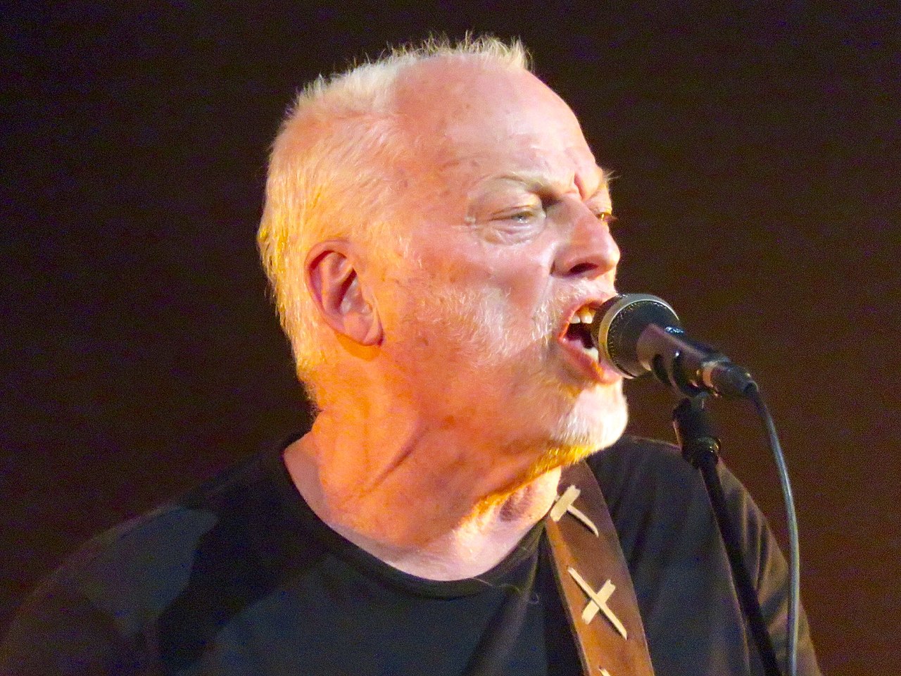 David Gilmour 2016