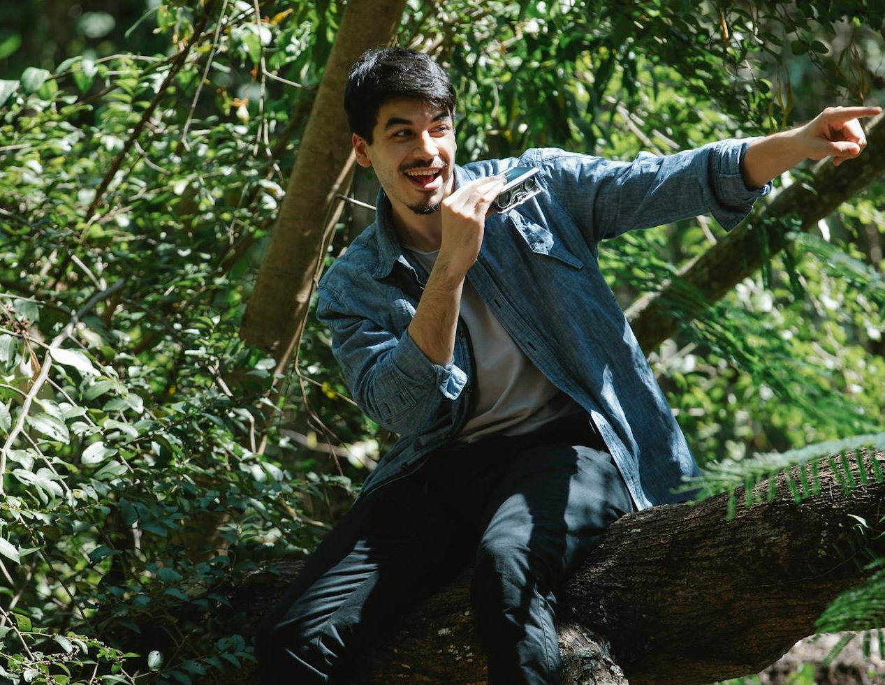 Joyful man sitting on lush tree branch