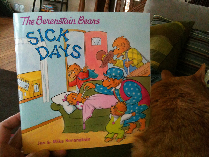 Person holding the The Berenstain Bears Sick Days