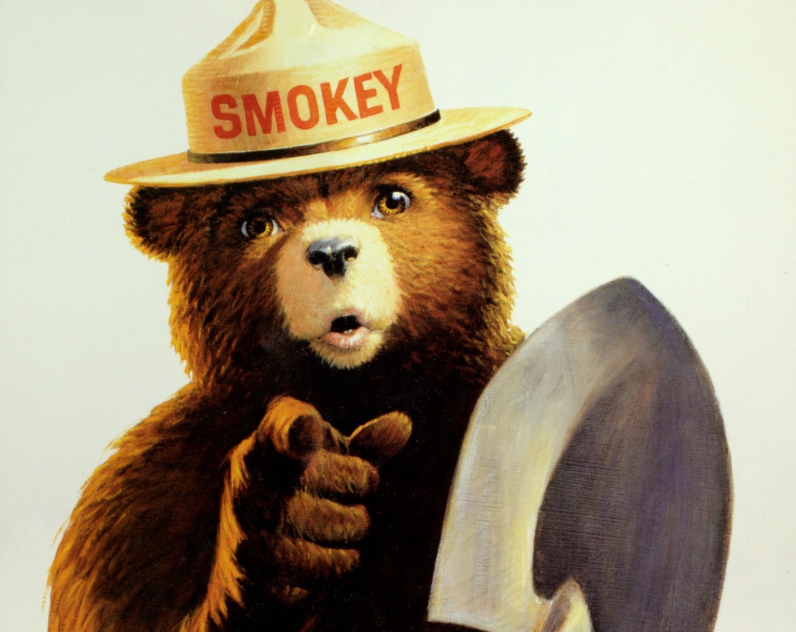 Uncle Sam Style Smokey Bear Only You
