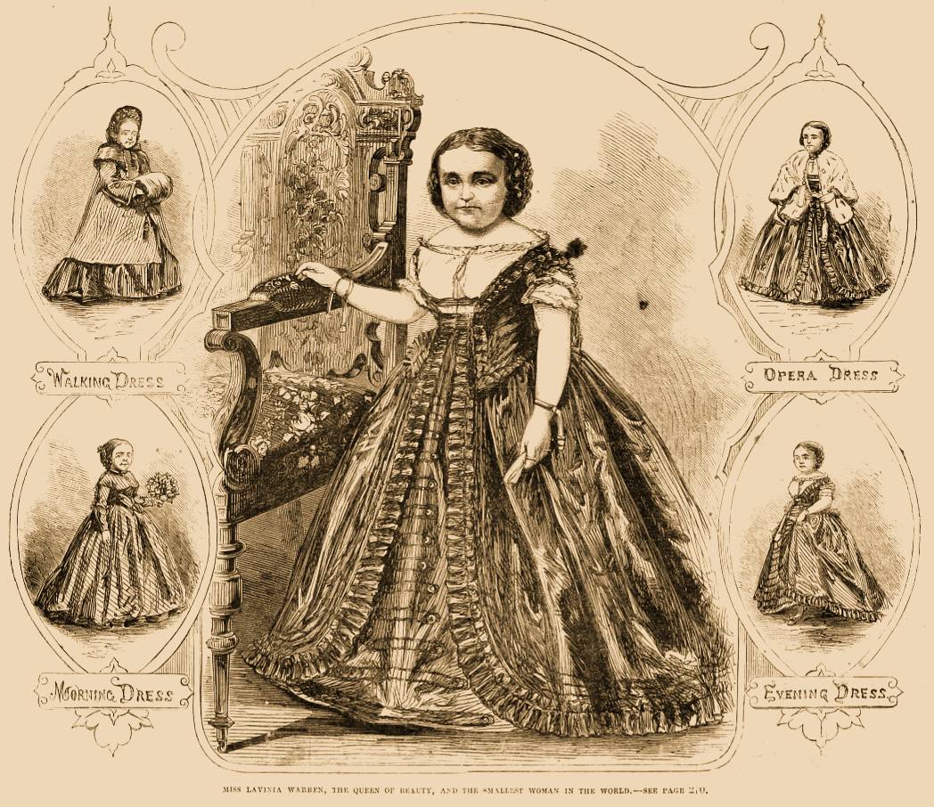 Lavinia Warren, The Queen Of Beauty