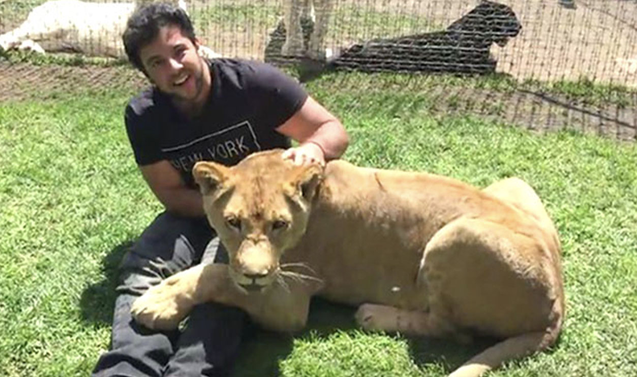 Kiara the lionesss